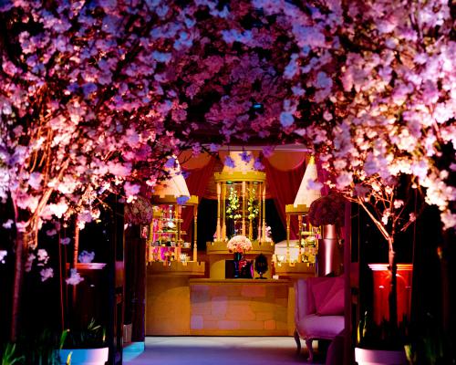 2nd Birthday Party Image 0